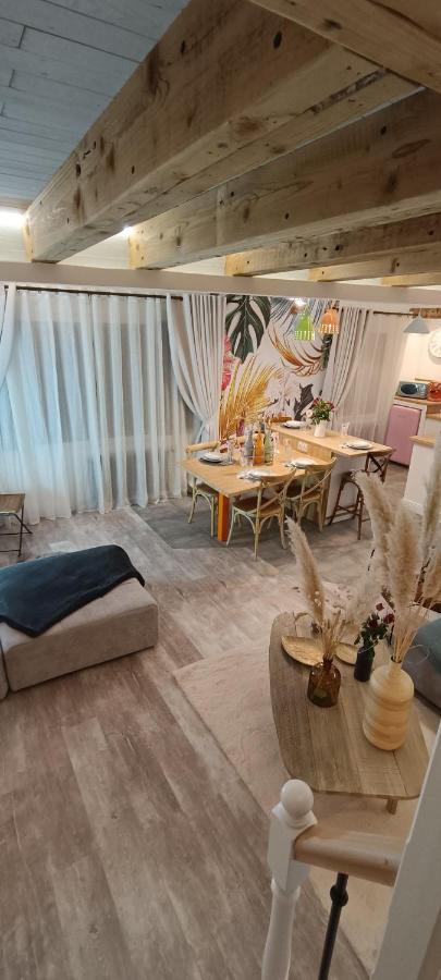 Le Marechal Duplex - Appartement Avec Jacuzzi - Caen Hyper Centre エクステリア 写真